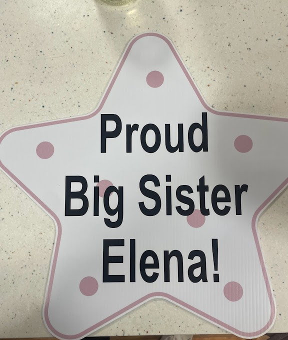 Joyful Storks Big Sister Star Keepsake add-on, featuring a decorative star design perfect for celebrating big sisters.